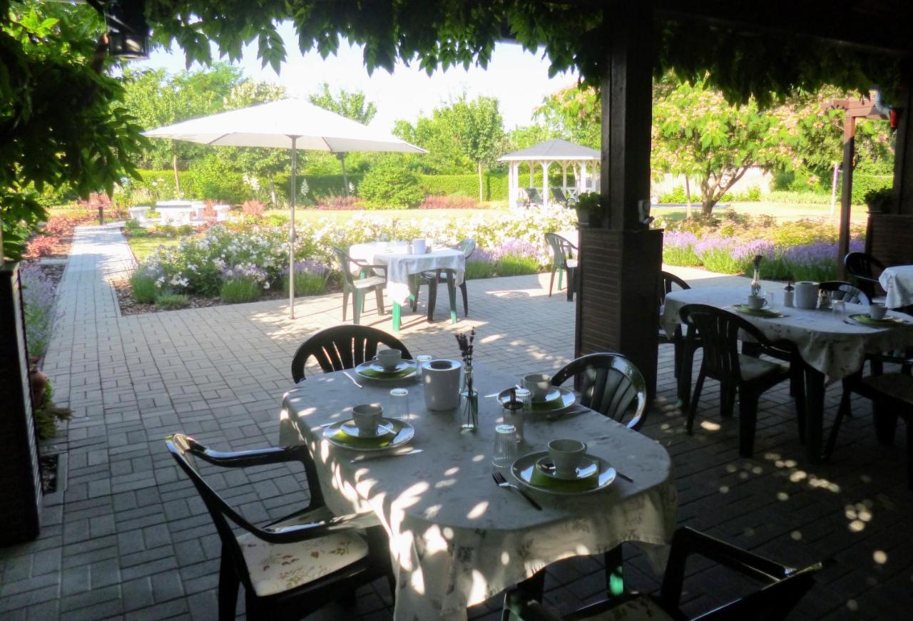 Tisza Lodge B&B - Panzio Tiszaderzs Zewnętrze zdjęcie