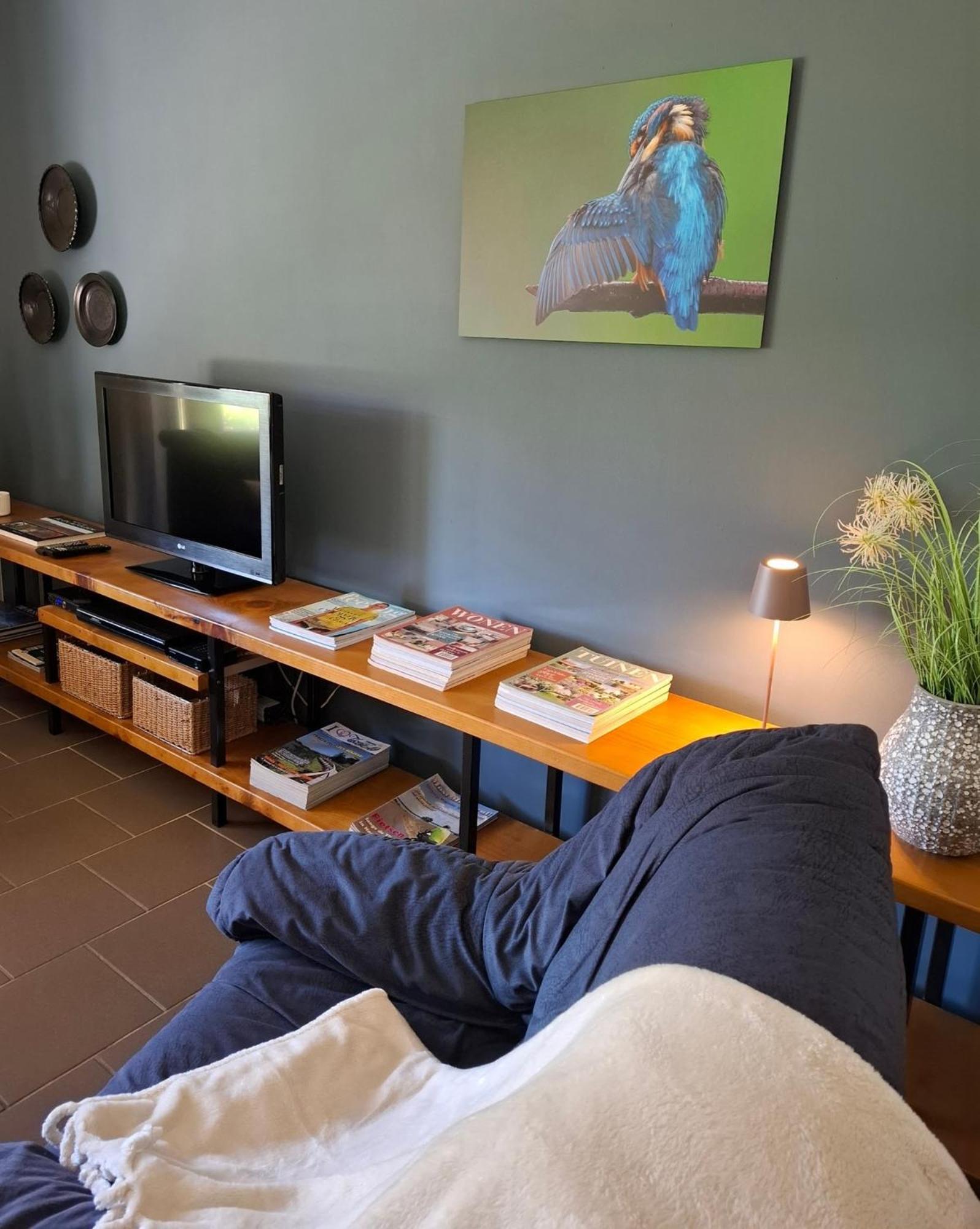 Tisza Lodge B&B - Panzio Tiszaderzs Zewnętrze zdjęcie