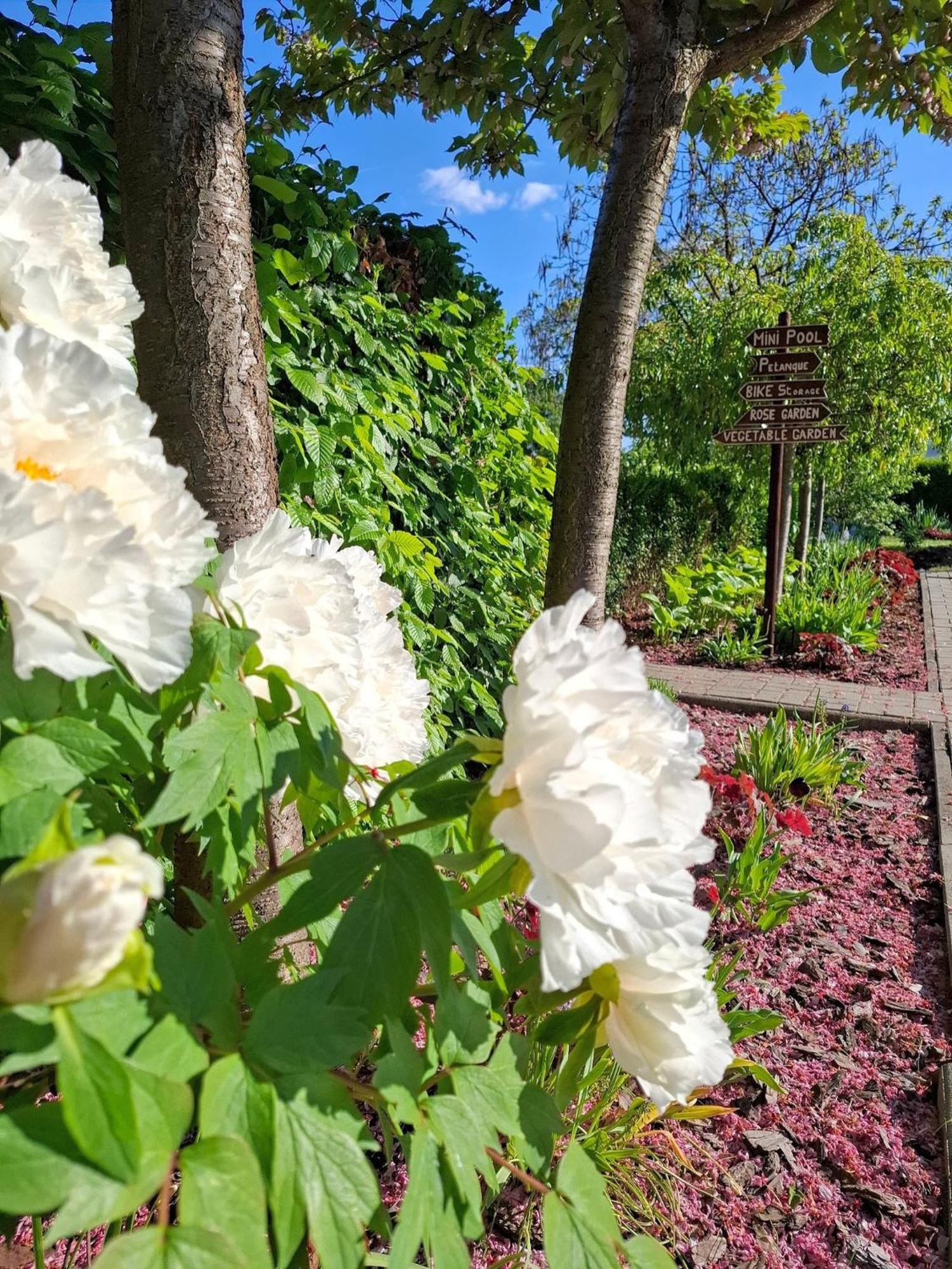 Tisza Lodge B&B - Panzio Tiszaderzs Zewnętrze zdjęcie