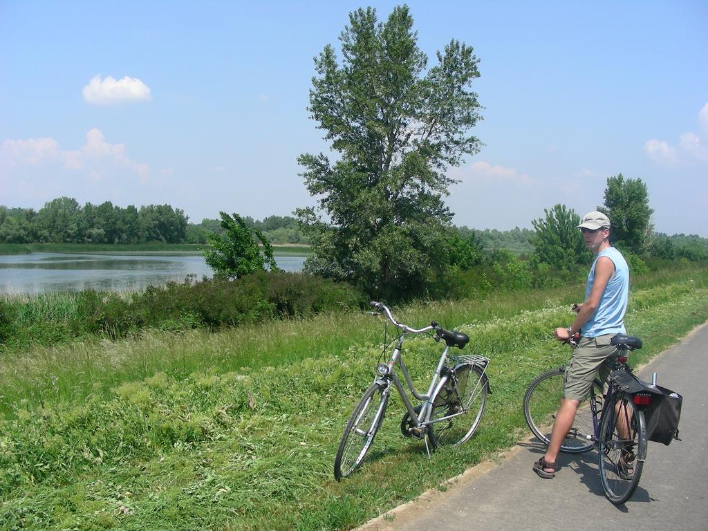 Tisza Lodge B&B - Panzio Tiszaderzs Zewnętrze zdjęcie