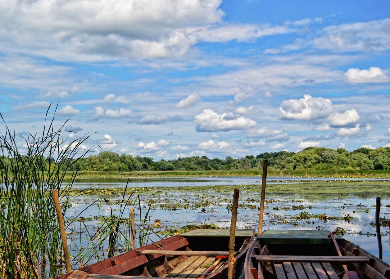 Tisza Lodge B&B - Panzio Tiszaderzs Zewnętrze zdjęcie