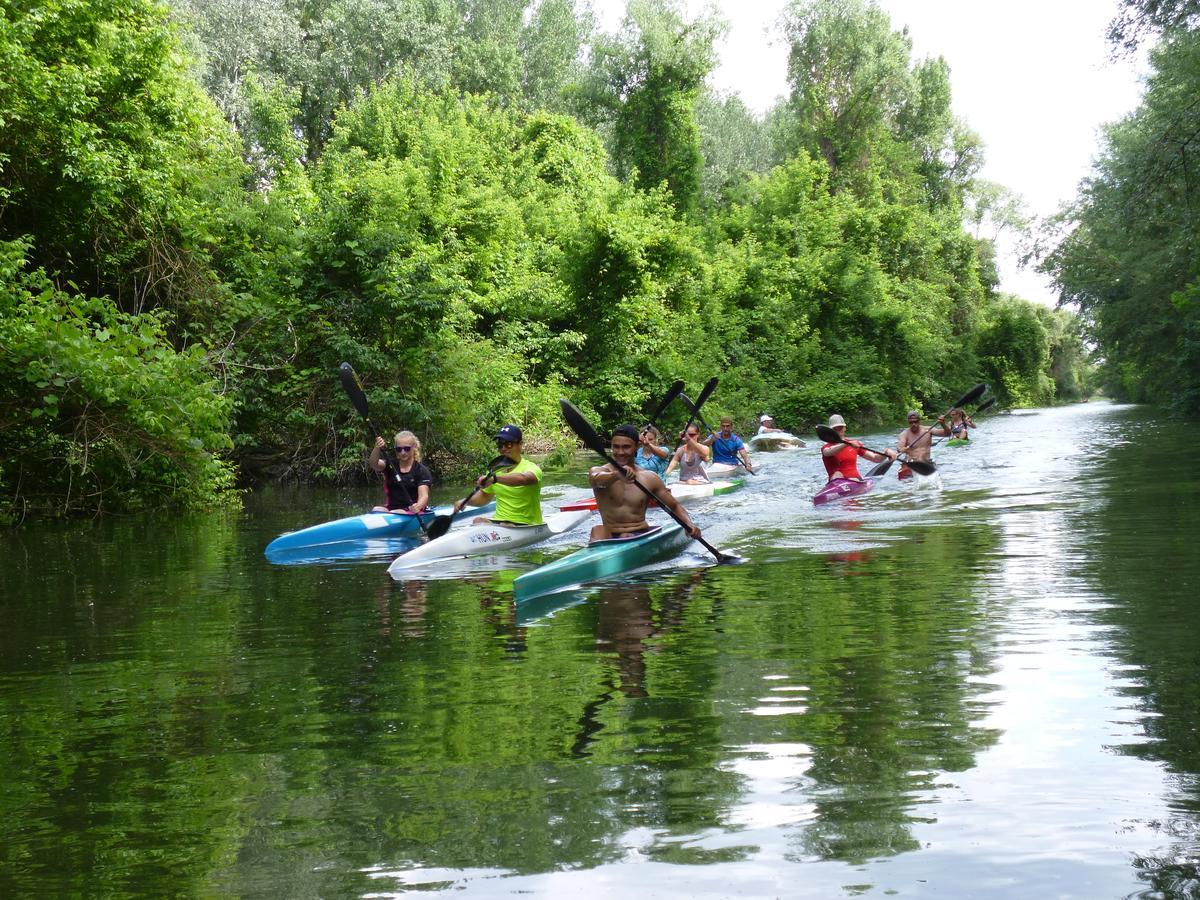 Tisza Lodge B&B - Panzio Tiszaderzs Zewnętrze zdjęcie