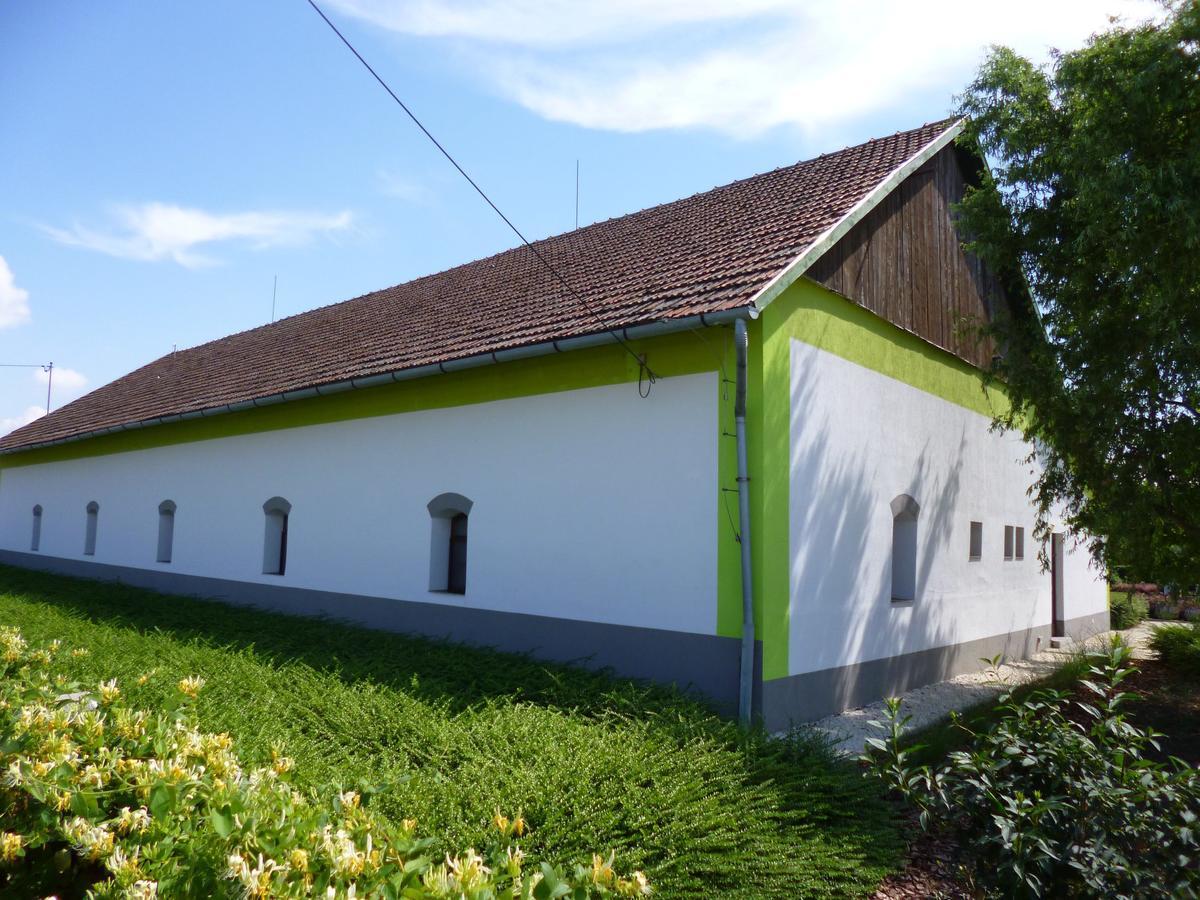 Tisza Lodge B&B - Panzio Tiszaderzs Zewnętrze zdjęcie
